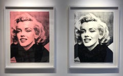 Marilyn Smile (Rose, Diamond Dust)