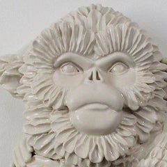 Monkey Mother and Child