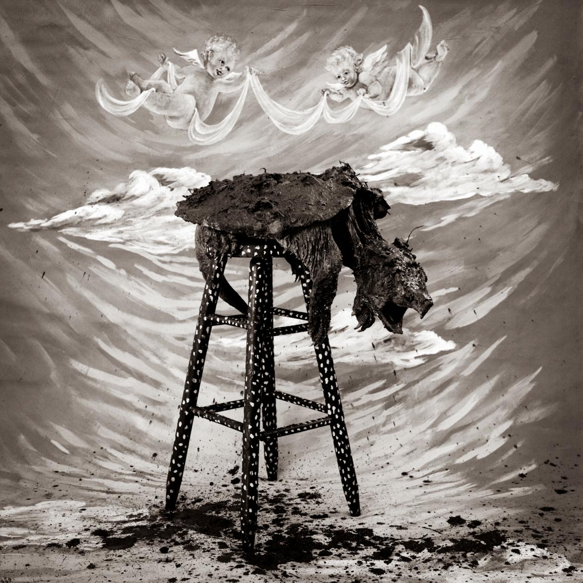 Black and White Photograph de Keith Carter b.1948 - Tortuga mordedora de aligátor, impresión en gelatina de plata, fotografía firmada y numerada