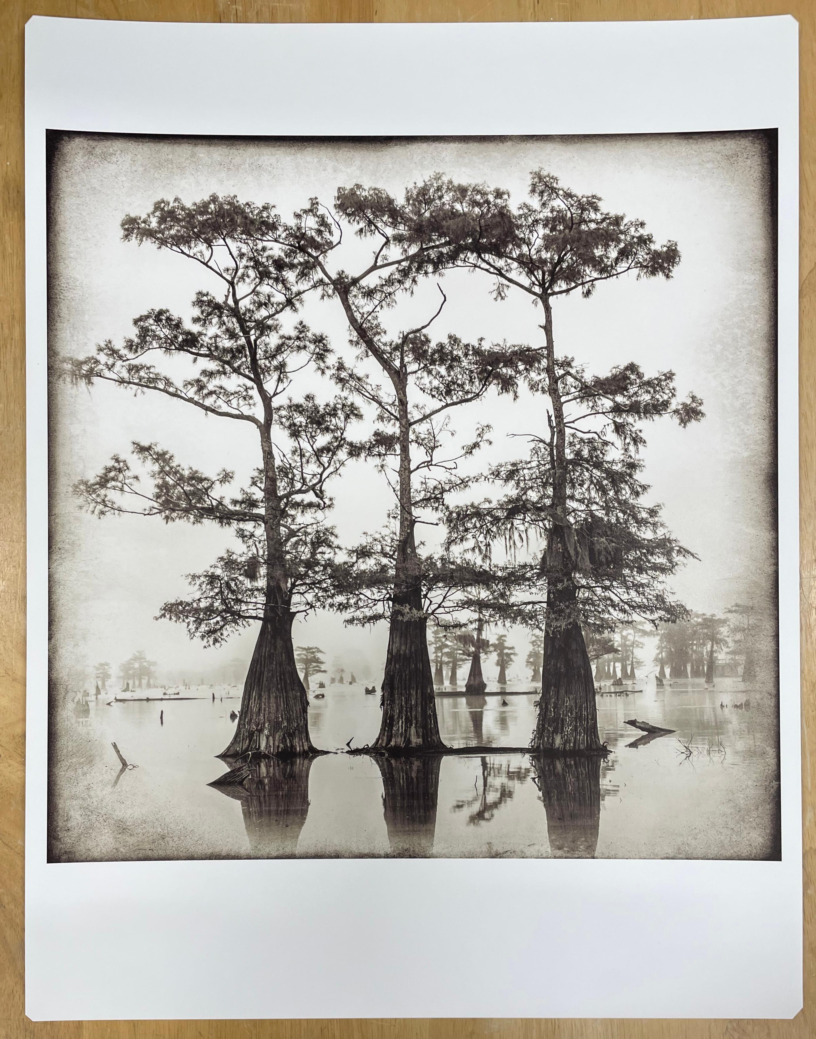 Estudio Atchafalaya nº 1 de Keith Carter, 2021, Impresión de pigmento de archivo - Photograph Contemporáneo de Keith Carter b.1948