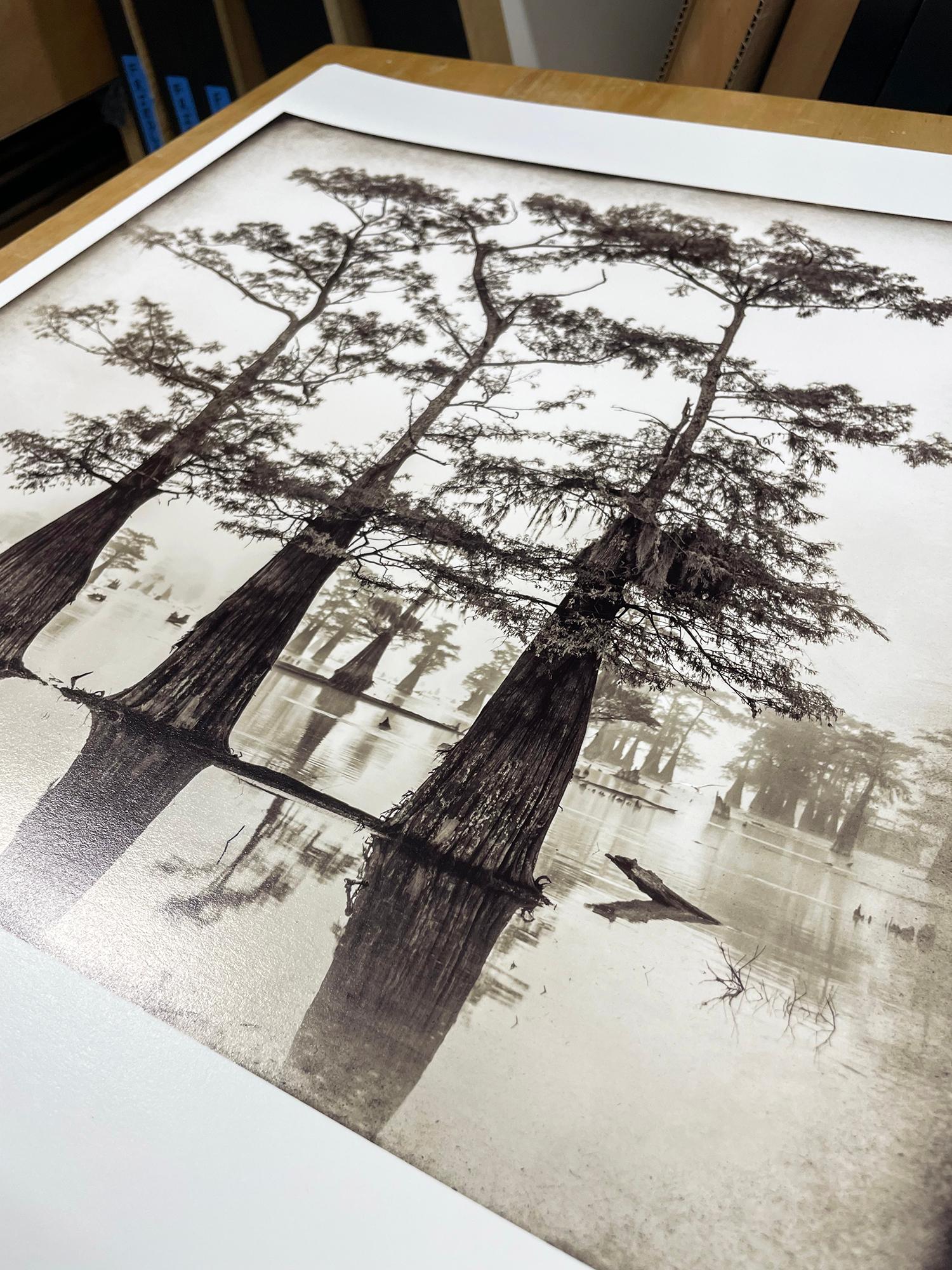 Estudio Atchafalaya nº 1 de Keith Carter, 2021, Impresión de pigmento de archivo - Figurative Photograph Gris de Keith Carter b.1948