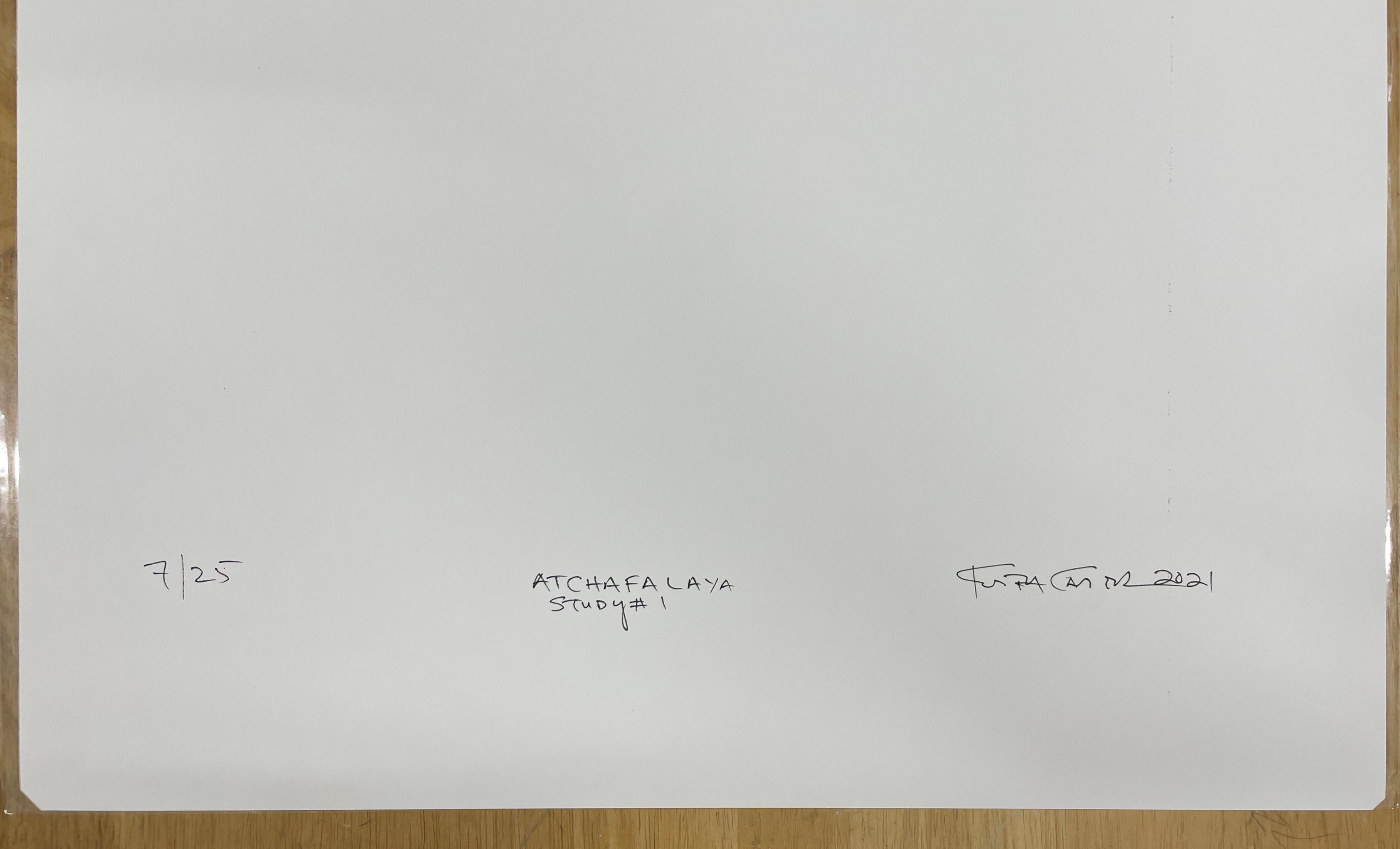 Estudio Atchafalaya nº 1 de Keith Carter, 2021, Impresión de pigmento de archivo en venta 1