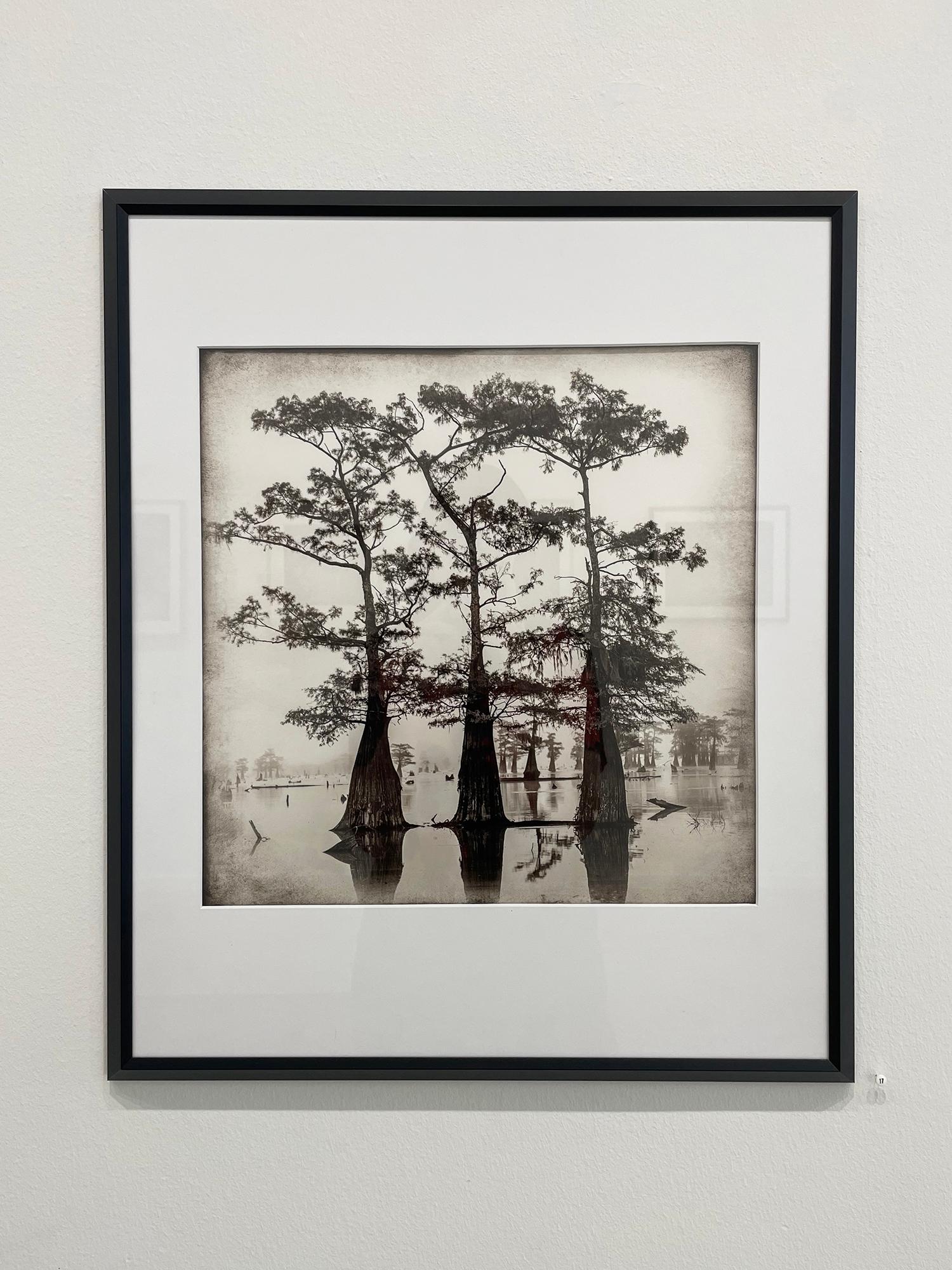 Atchafalaya Study #1 by Keith Carter, 2021, Archival Pigment Print - Photograph by Keith Carter b.1948