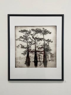 Atchafalaya Study #1 di Keith Carter, 2021, stampa a pigmenti d'archivio