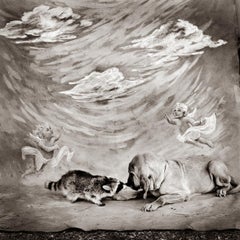 Bloodhound and Raccoon, stampa alla gelatina d'argento,  fotografia in edizione limitata