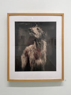 Bog Dog by Keith Carter, 2014, Archival Pigment Print