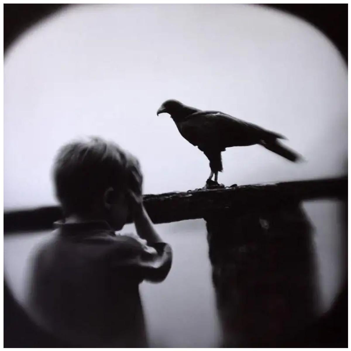 Keith Carter b.1948 Figurative Photograph - Boy and Hawk by Keith Carter. Signed limited edition 16 x 20" print