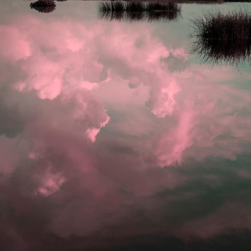 Abstract Photograph de Keith Carter b.1948 - Eneas, fotografía de paisaje en color, edición limitada, firmada y numerada