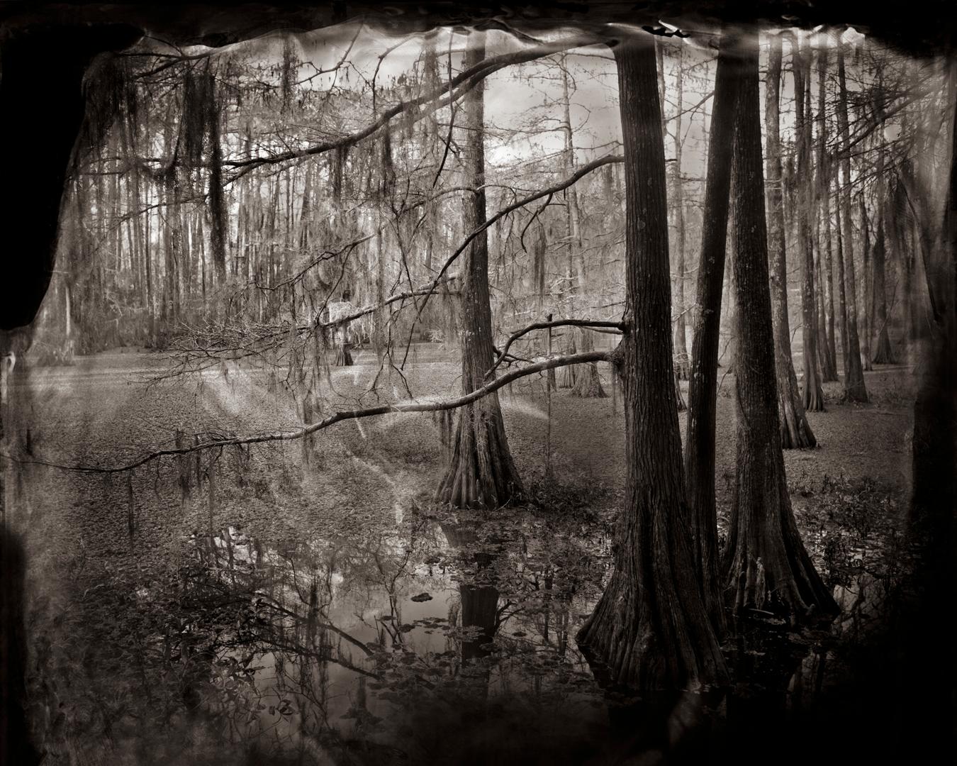 Keith Carter b.1948 Landscape Photograph - Cypress Swamp Study #2 - Texas landscape, trees, water, sepia-toned