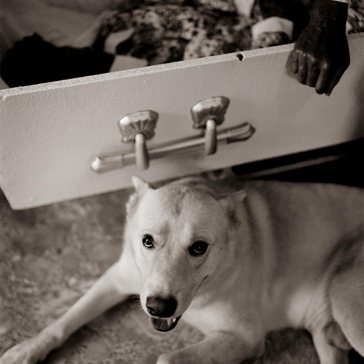 Keith Carter b.1948 Black and White Photograph - Dog and Coffin, silver gelatin print,  limited edition photograph 