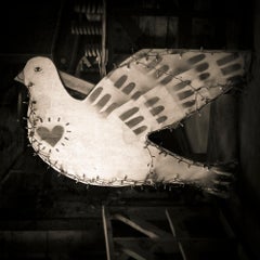 Dove, limited edition archival pigment ink photograph, signed and numbered 