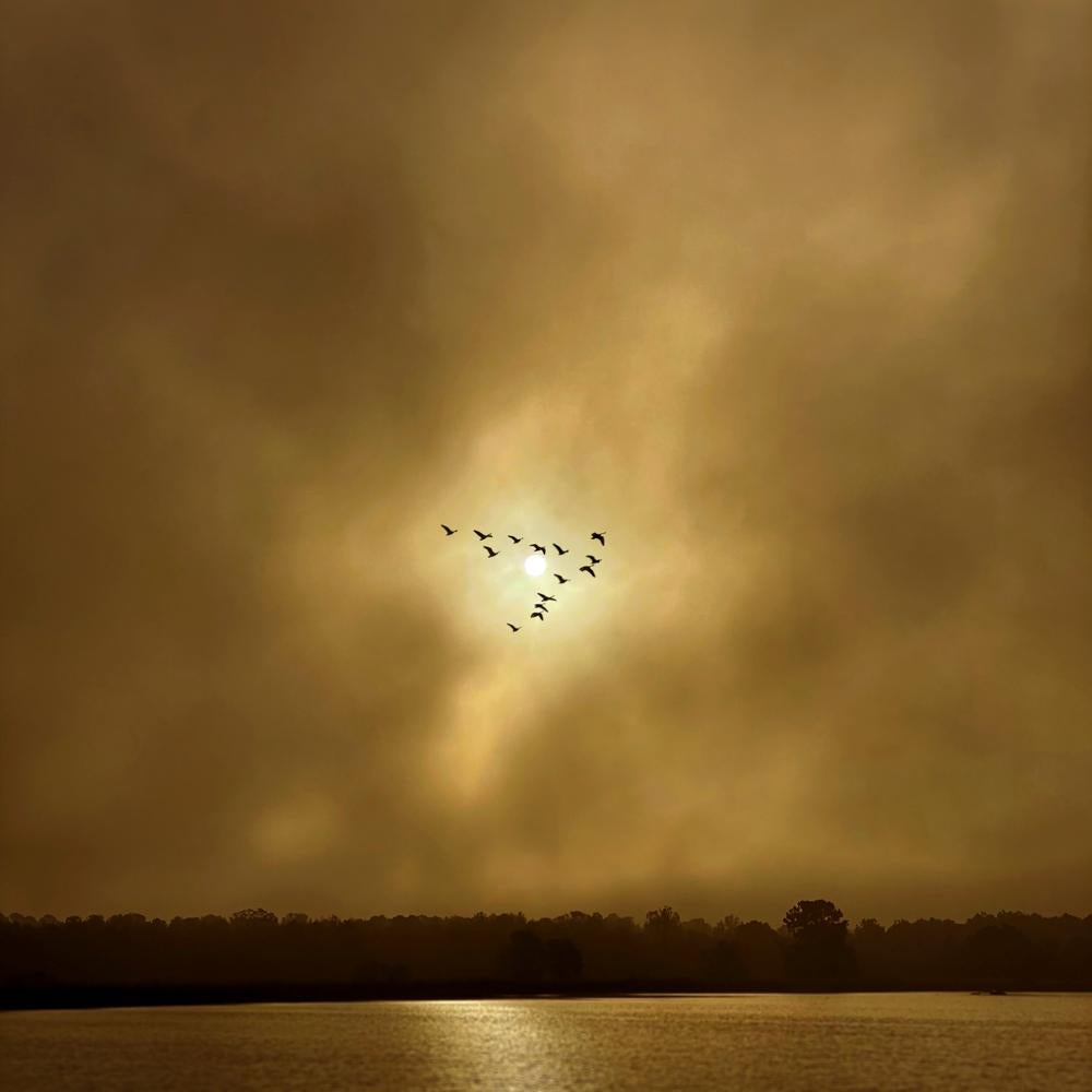 Keith Carter b.1948 Color Photograph - Flying V, color landscape photograph, limited edition, signed and numbered 