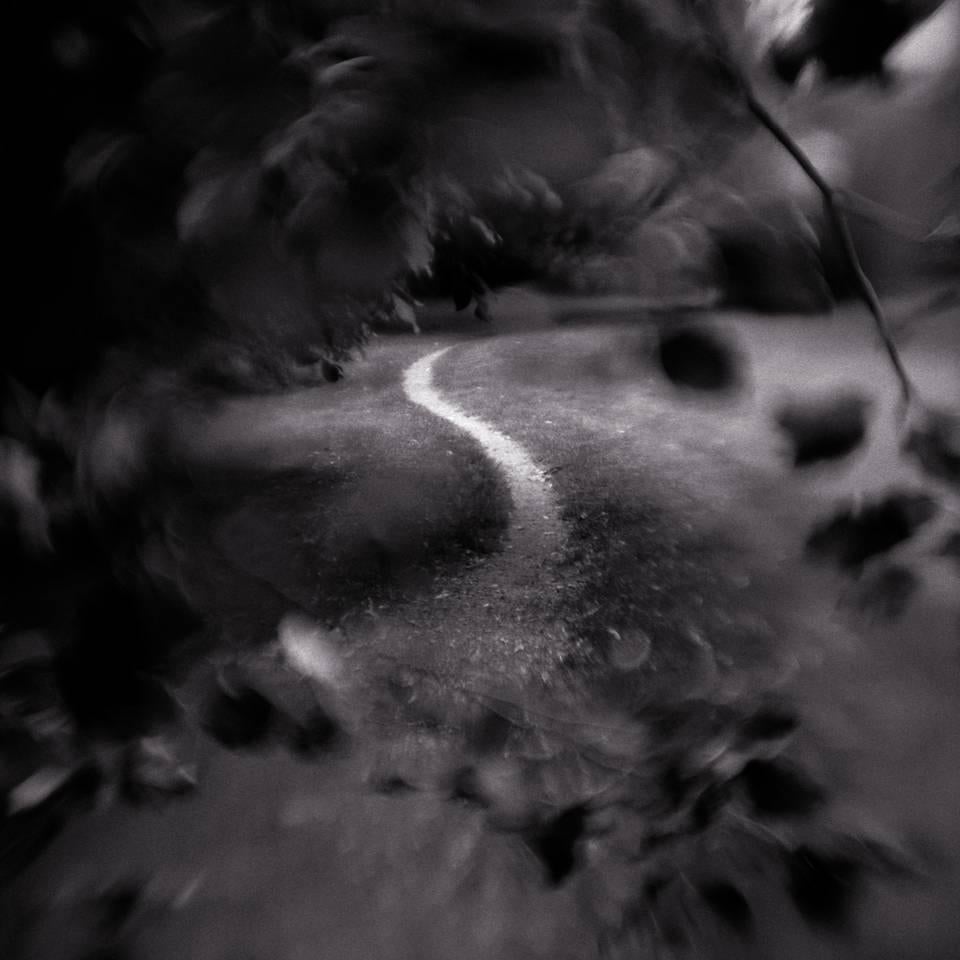 Keith Carter b.1948 Landscape Photograph - Footpath, limited edition, archival pigment ink print, signed and numbered
