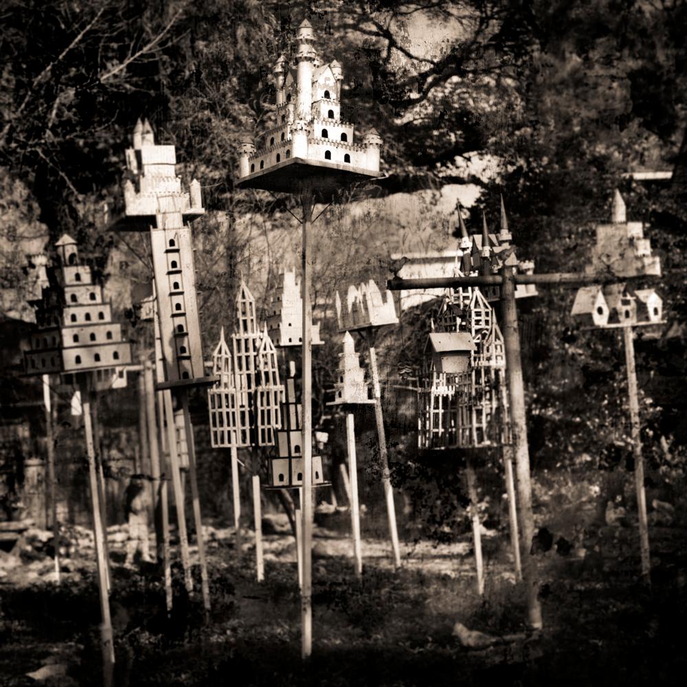 Keith Carter b.1948 Black and White Photograph - Full Length Birdhouses, limited edition photograph, signed and numbered 