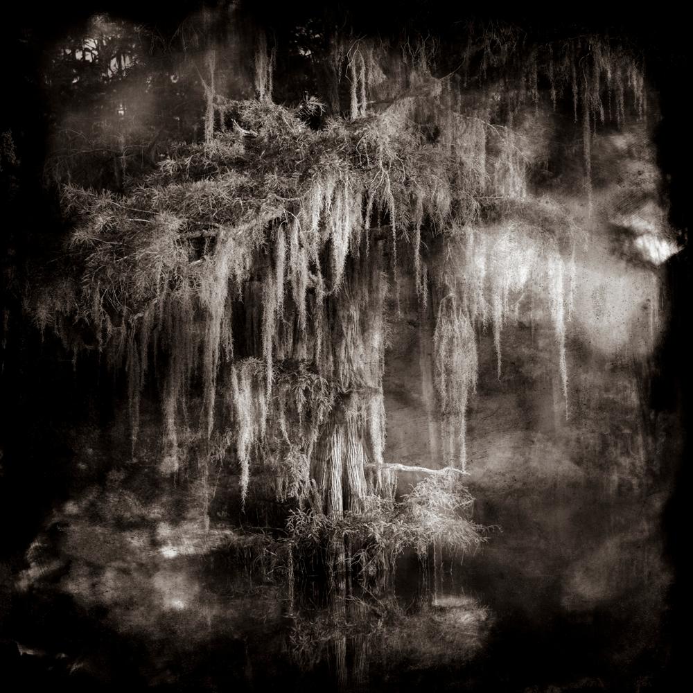 Keith Carter b.1948 Black and White Photograph - Ghostlight, limited edition photograph, signed and numbered 