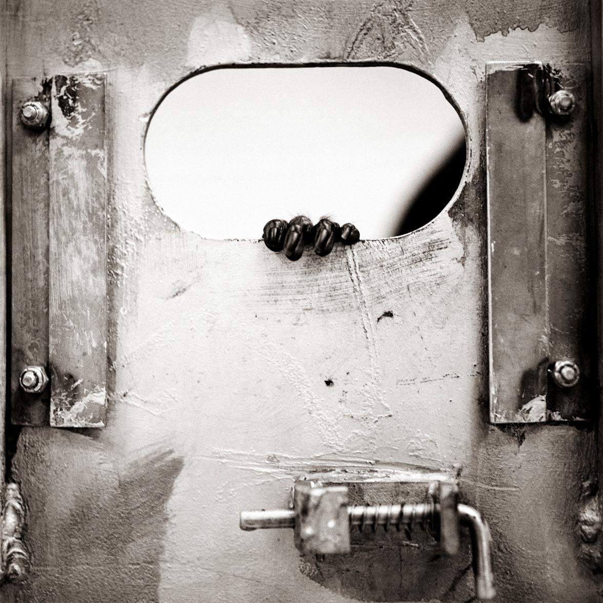 Keith Carter b.1948 Black and White Photograph - Night Cage, limited edition photograph, signed and numbered 
