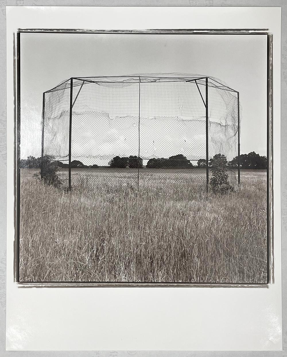 Noonday, Smith County (Zeitgenössisch), Photograph, von Keith Carter b.1948
