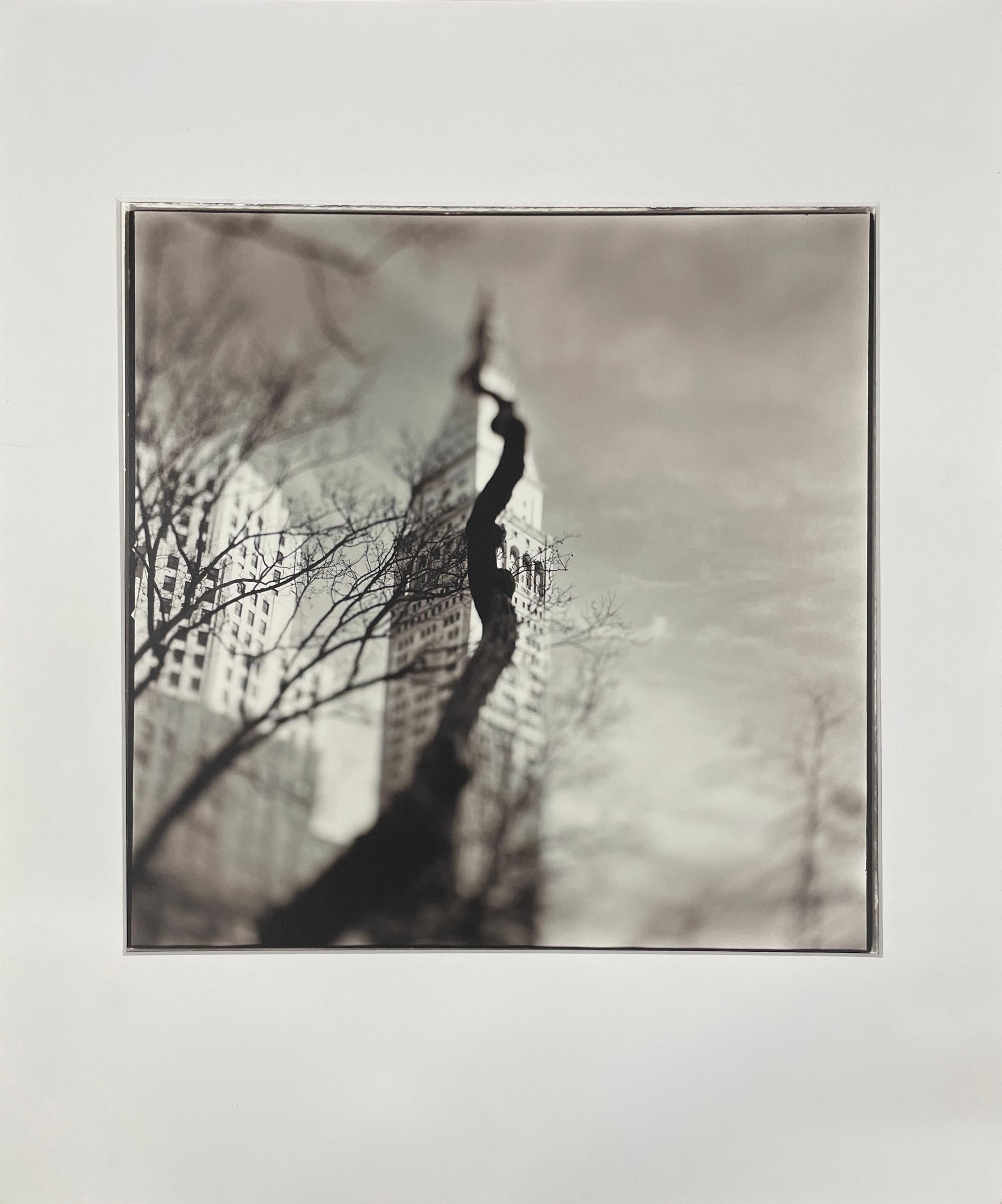 Árbol Ardilla - Fotografía en blanco y negro de edición limitada, Arquitectura, Árbol - Photograph de Keith Carter b.1948