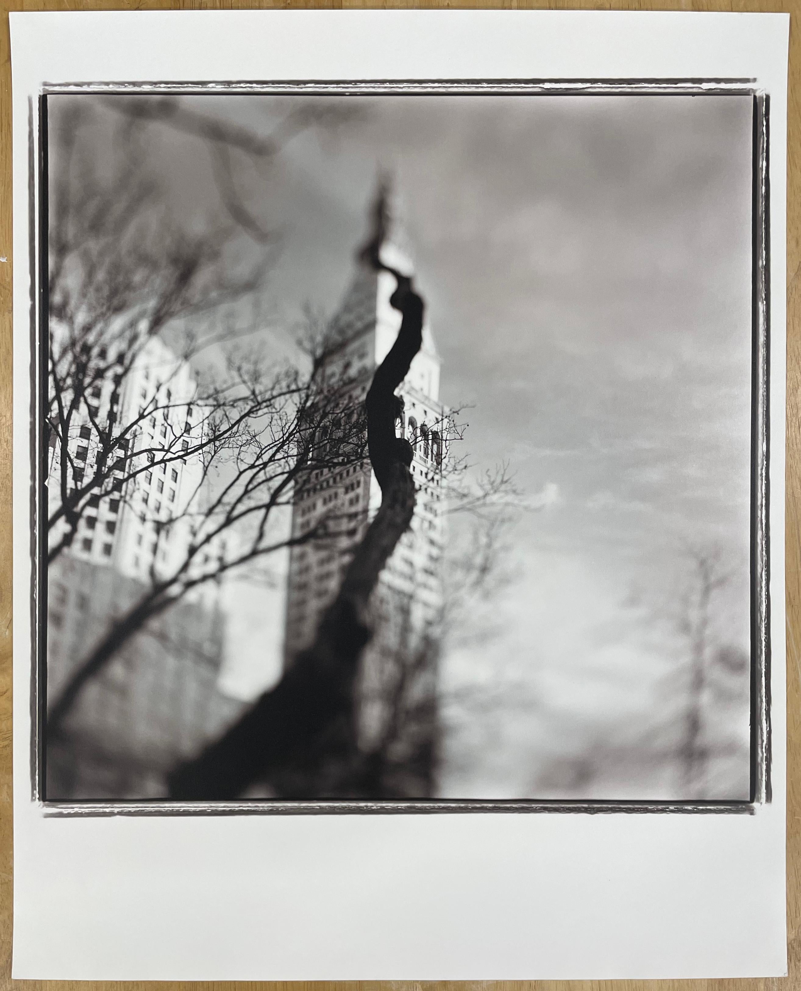 Árbol Ardilla - Fotografía en blanco y negro de edición limitada, Arquitectura, Árbol - Photograph Contemporáneo de Keith Carter b.1948