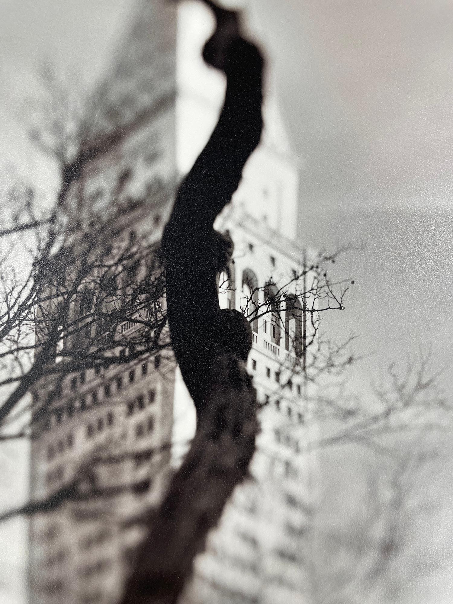 Árbol Ardilla - Fotografía en blanco y negro de edición limitada, Arquitectura, Árbol - Figurative Photograph Negro de Keith Carter b.1948