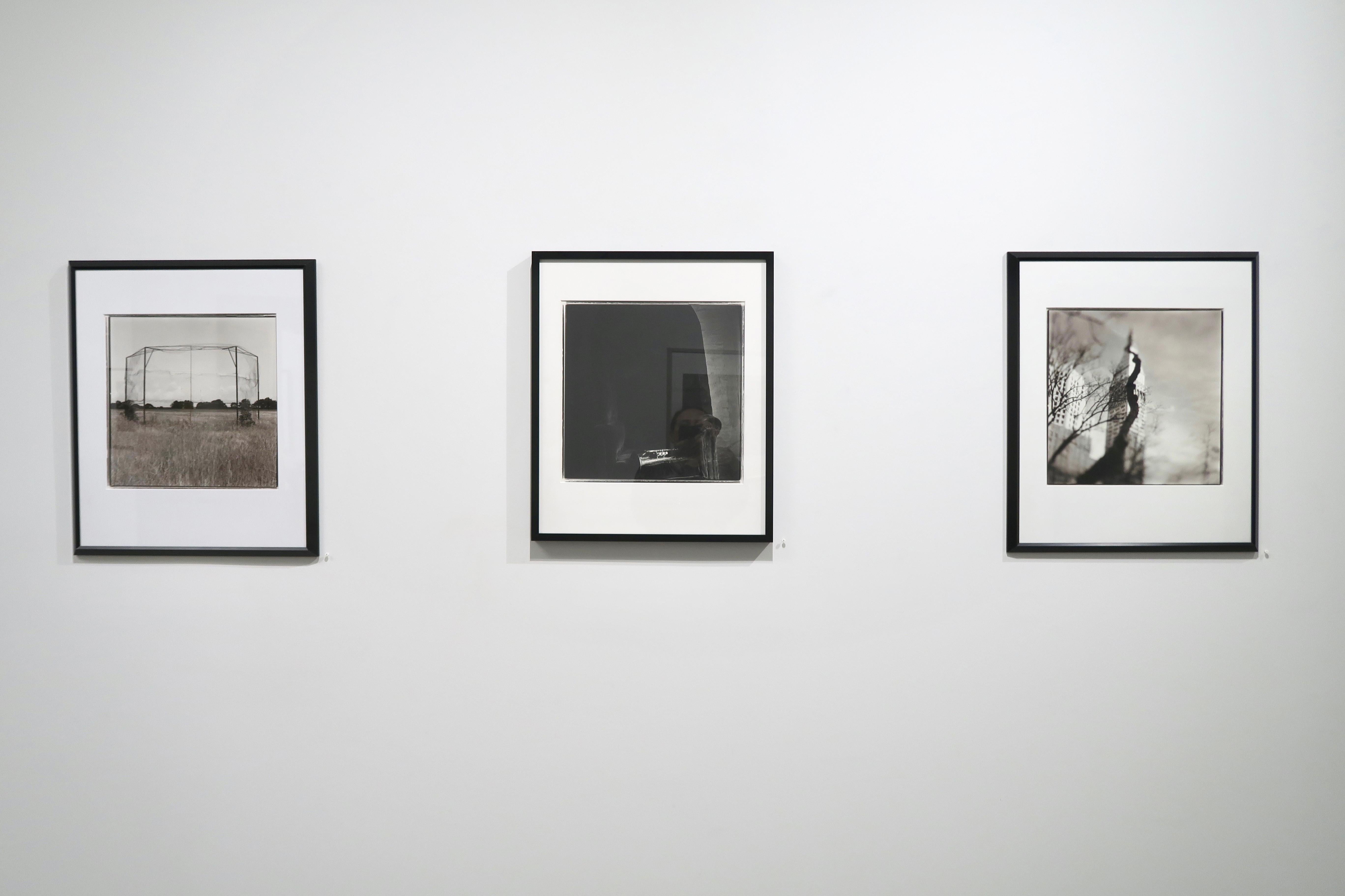 Árbol Ardilla - Fotografía en blanco y negro de edición limitada, Arquitectura, Árbol en venta 2