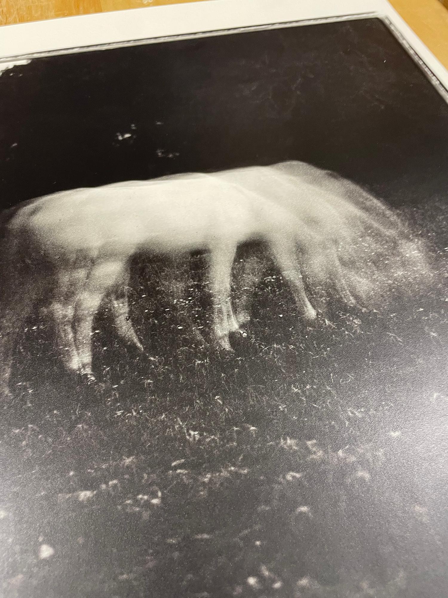 Cavallo bianco al chiaro di luna - Fotografia in bianco e nero, edizione limitata, animale - Photograph Contemporaneo di Keith Carter b.1948
