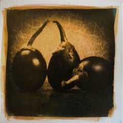 Baby Eggplant, Mixed Media on Paper