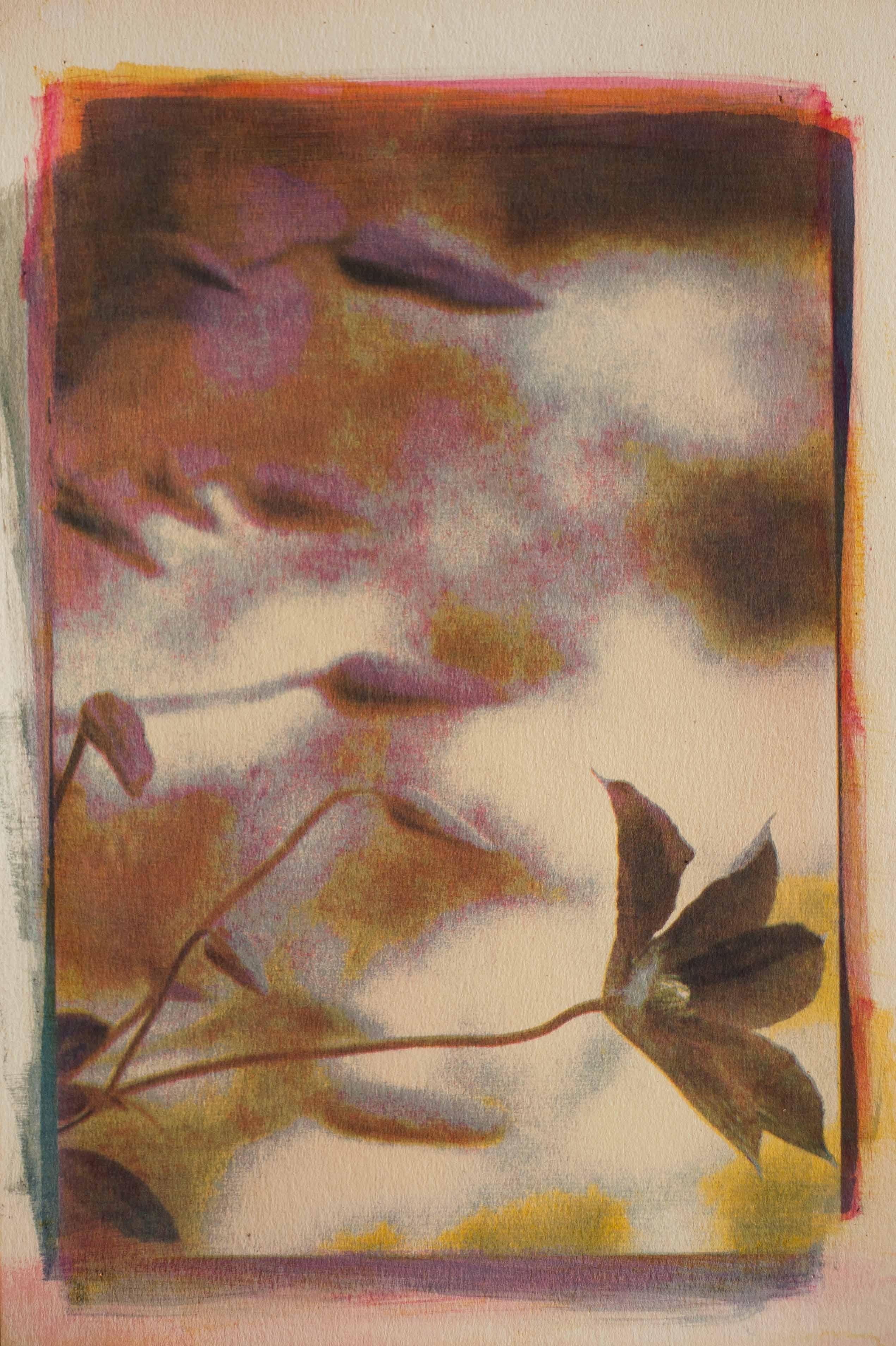 Clématite, technique mixte sur papier