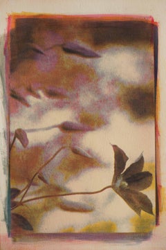 Clematis, Mixed Media on Paper