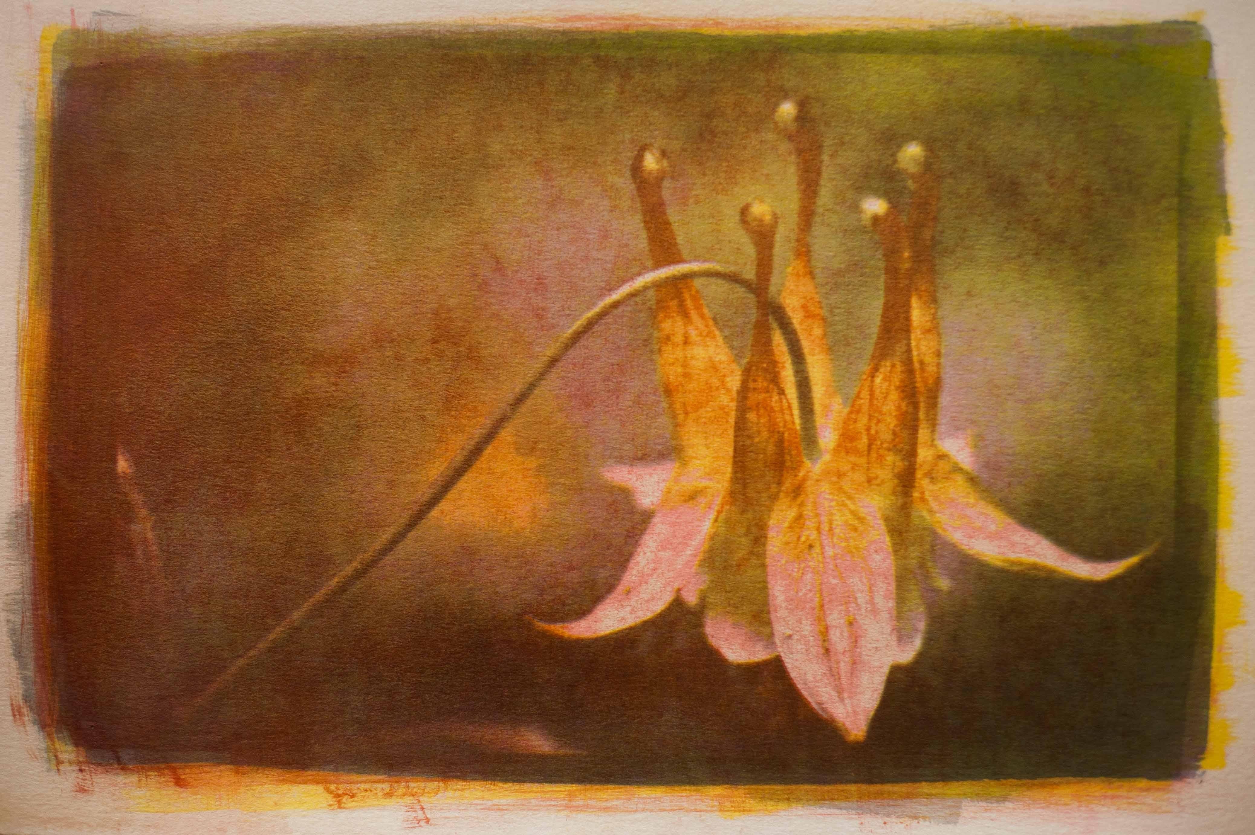 Colombine, technique mixte sur papier