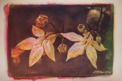 Mixed Media