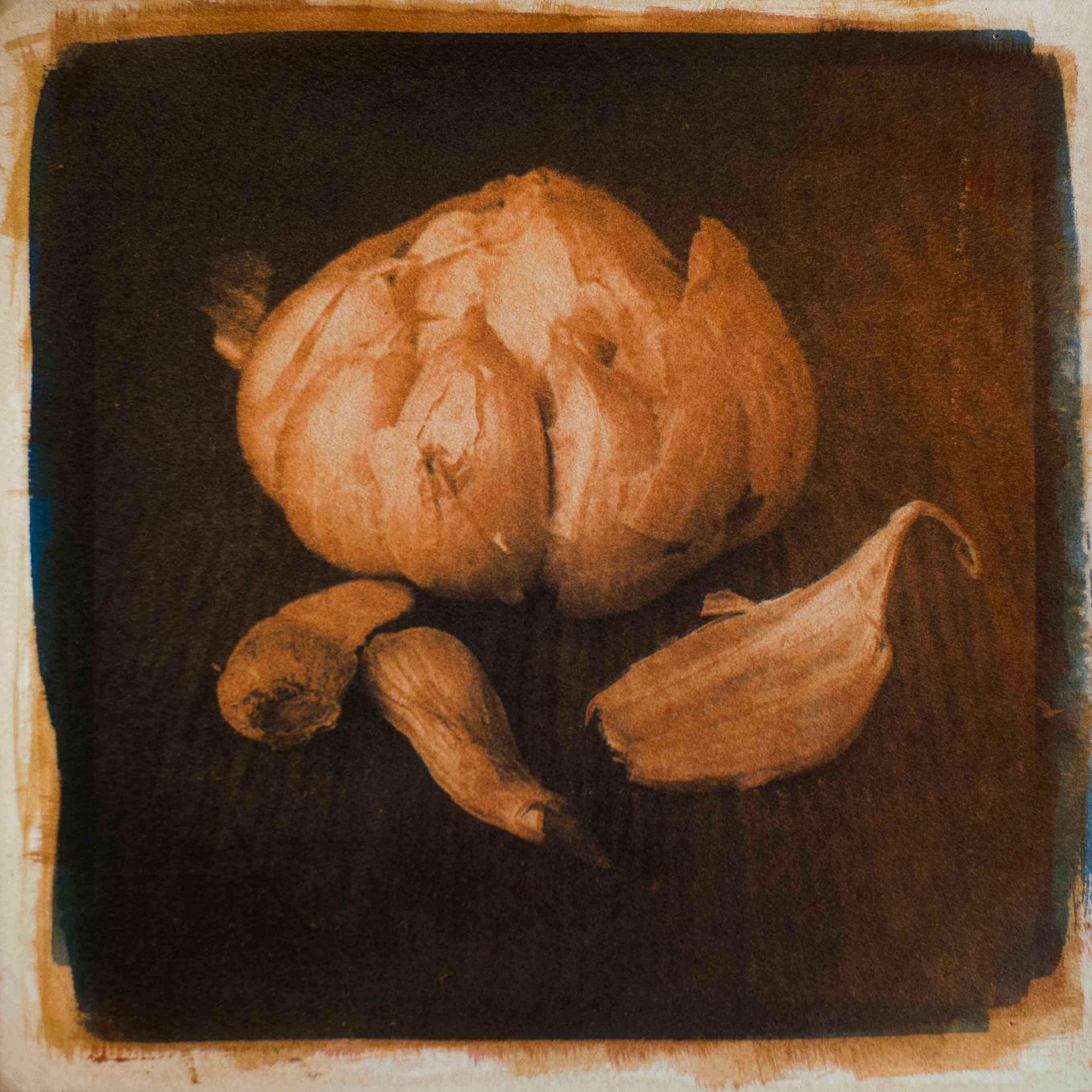 Garlic, Mixed Media on Paper