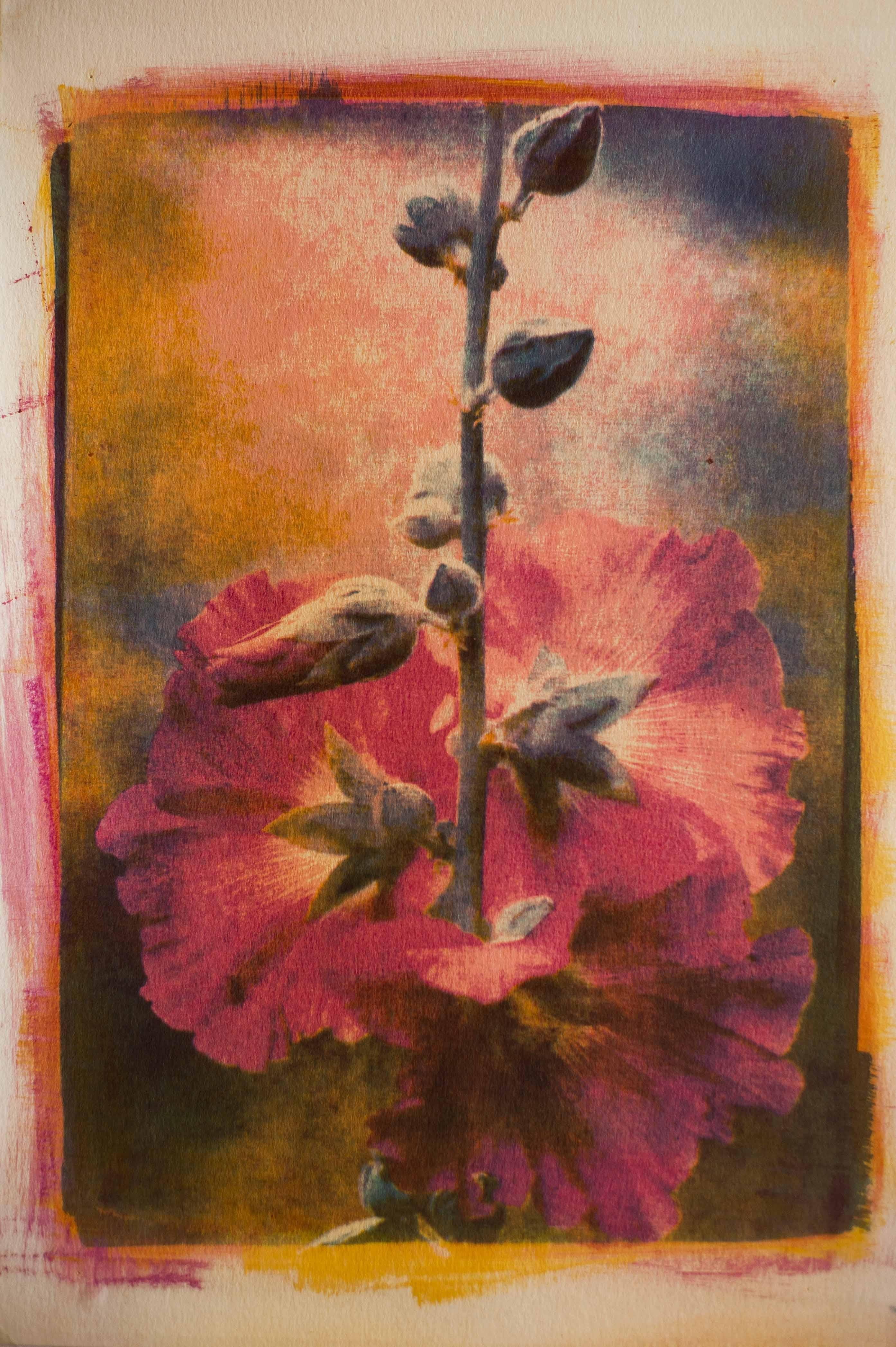 Hollyhock, Mixed Media on Paper