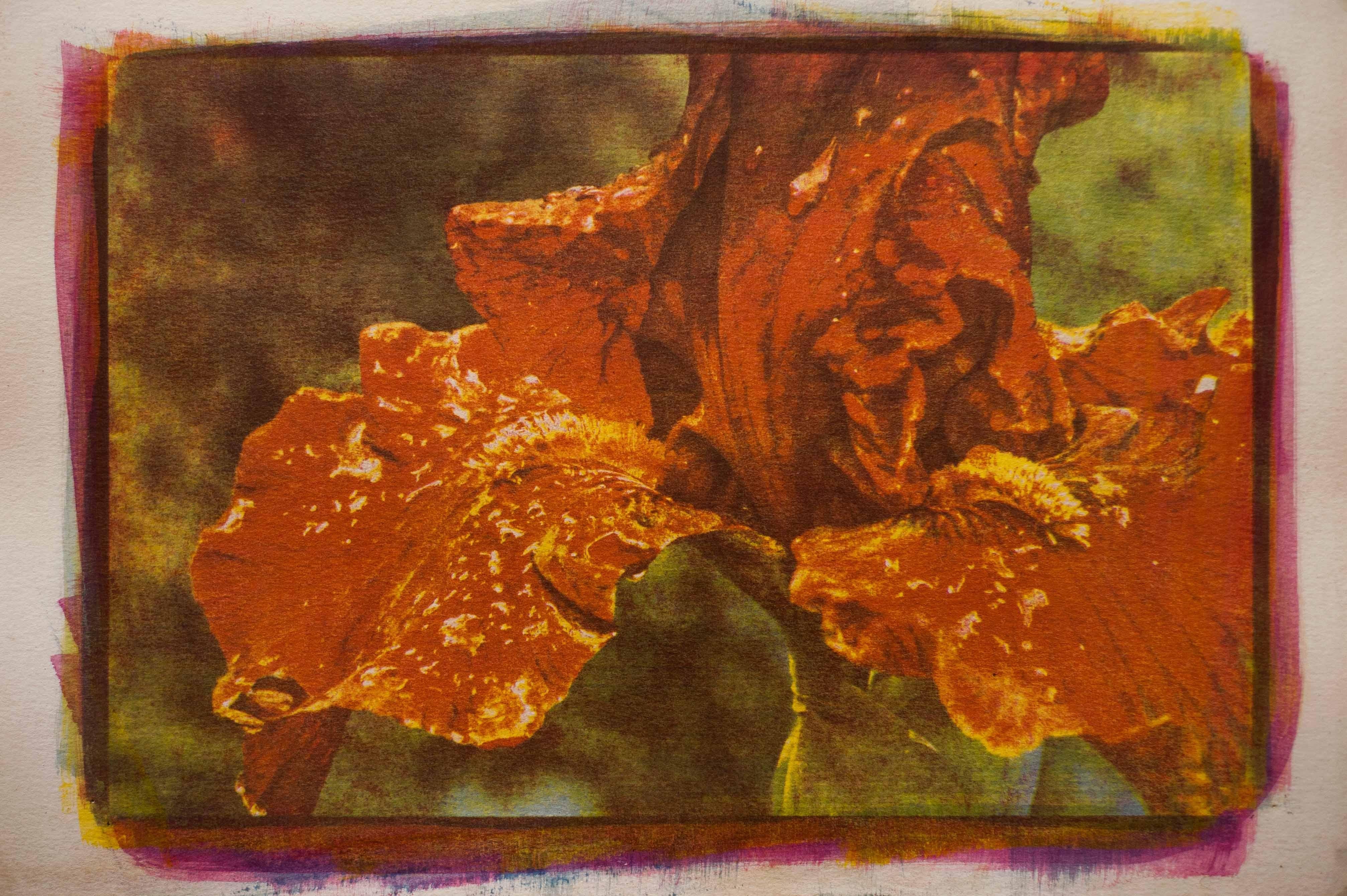 Iris, tecnica mista su carta