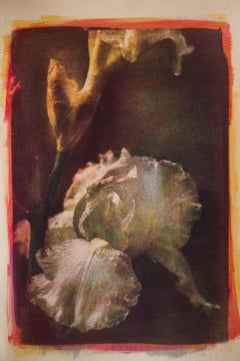 Mixed Media