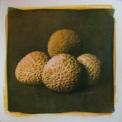 Lychees, Mixed Media on Paper