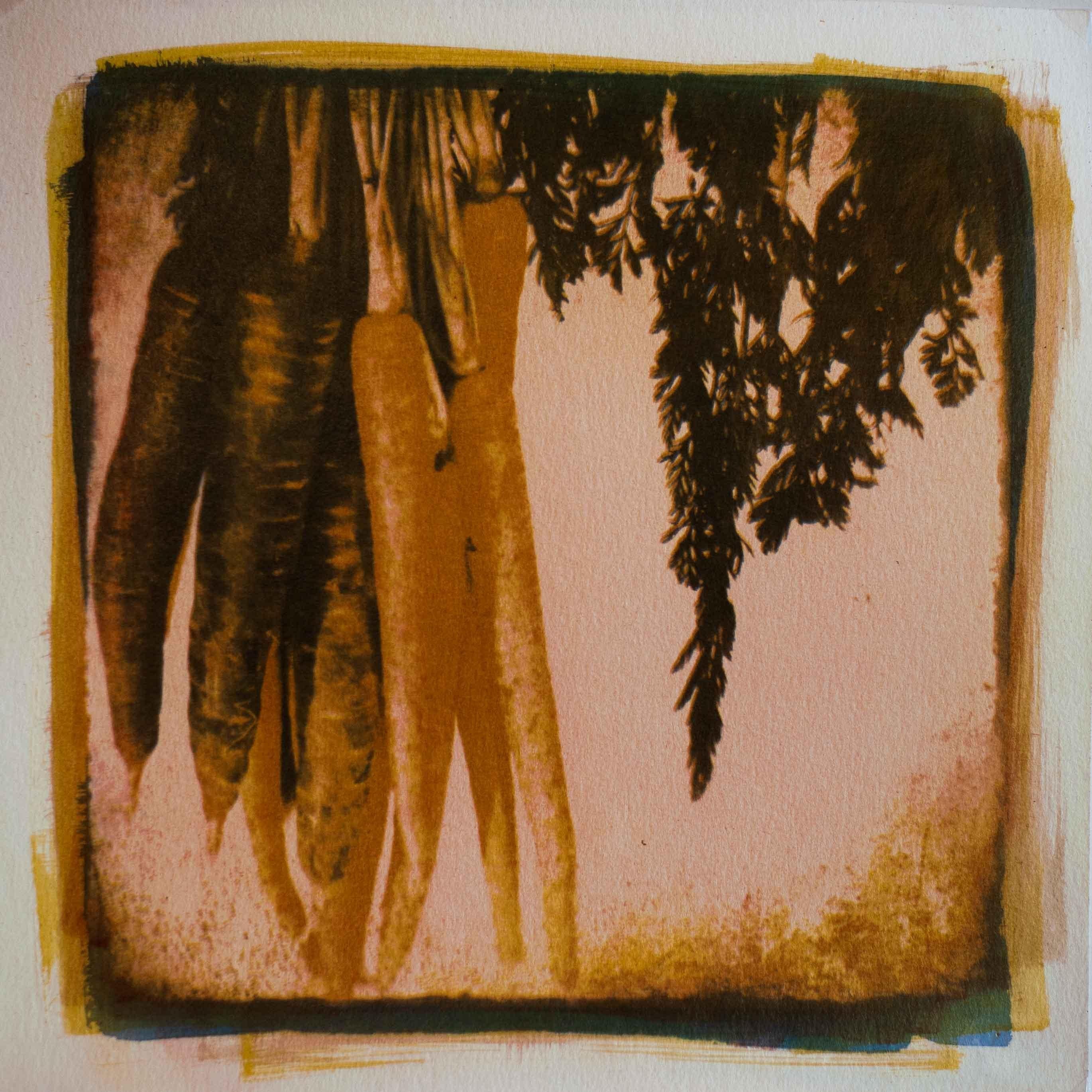 Purple and Orange Carrots, Mixed Media on Paper - Mixed Media Art by Keith Gerling