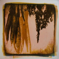 Purple and Orange Carrots, Mixed Media on Paper