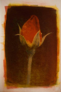 Rosebud, Mixed Media on Paper