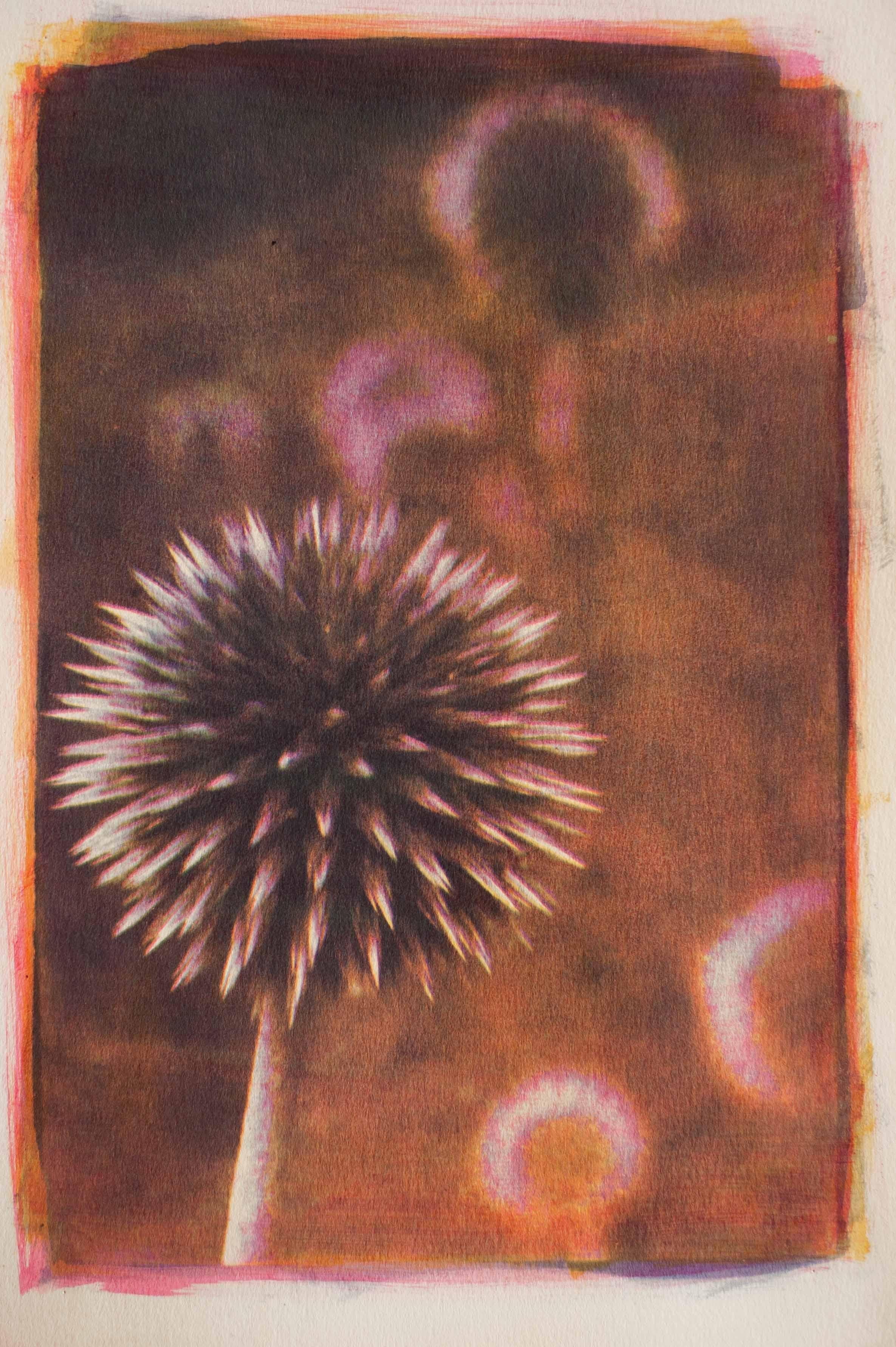 Thistle, Mixed Media on Paper - Mixed Media Art by Keith Gerling