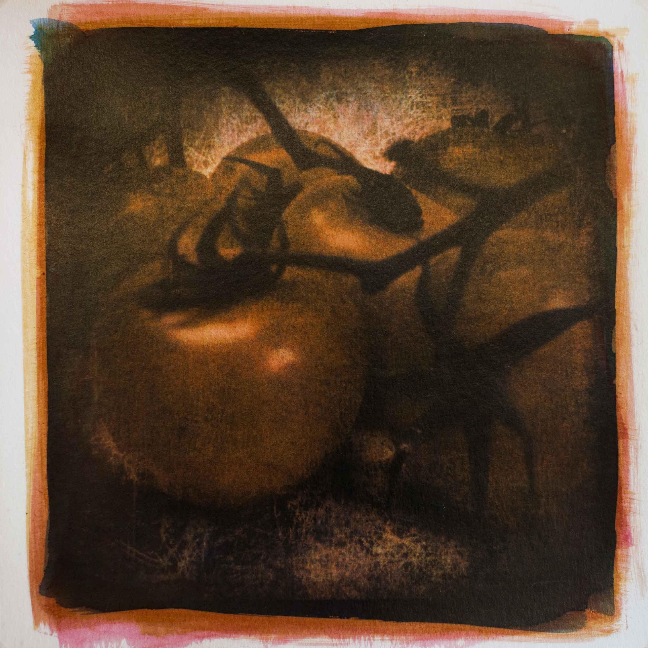 Tomatoes, Mixed Media on Paper