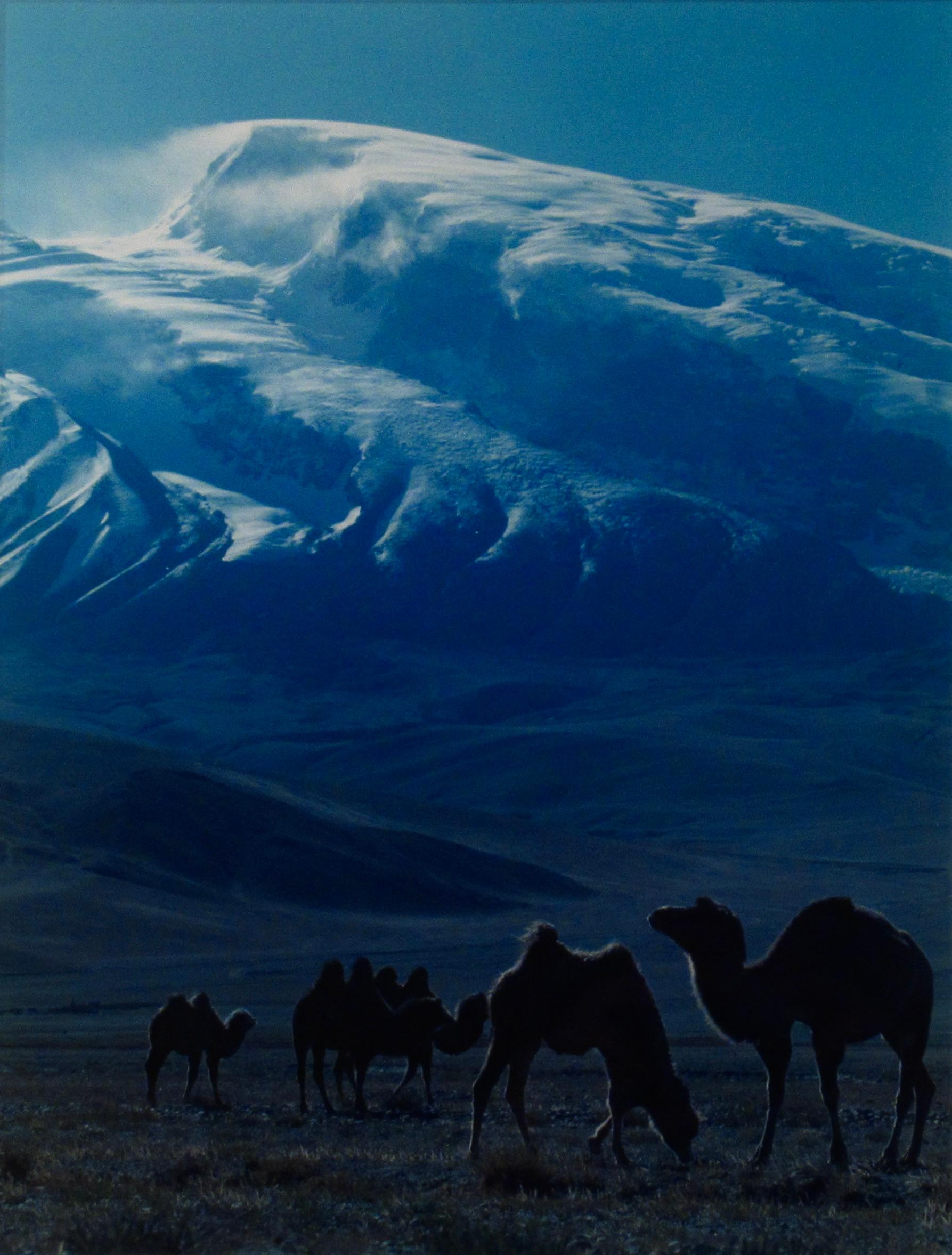 Mt. Mostag (Muztagh) and Wild camels - Photograph by Keith Guo Ji Liang