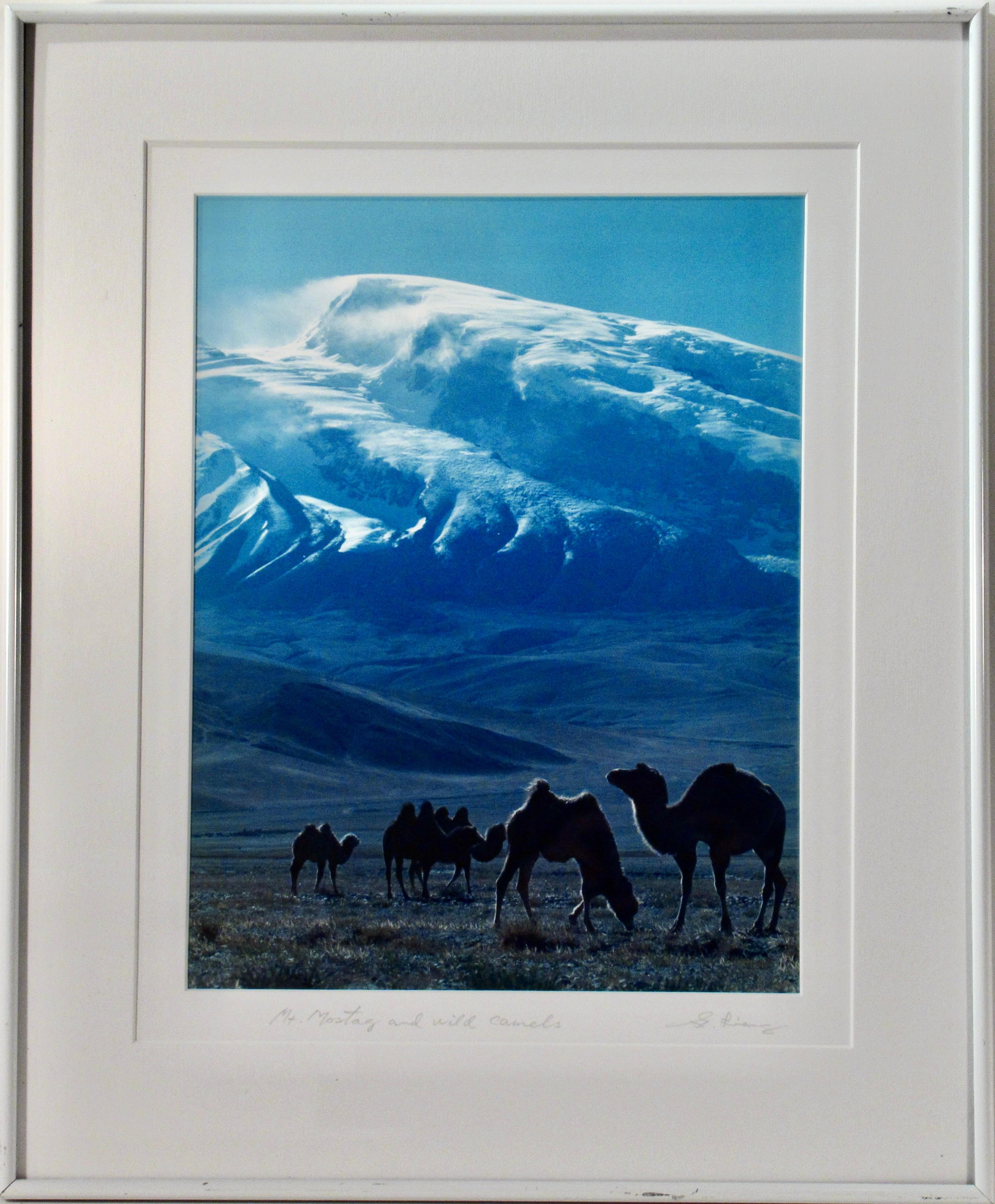 Keith Guo Ji Liang Landscape Photograph - Mt. Mostag (Muztagh) and Wild camels