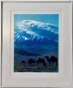 Vintage Mt. Mostag (Muztagh) and Wild camels