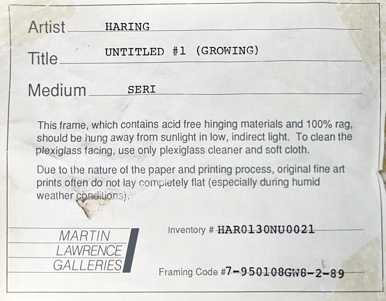 Sérigraphie en couleurs sur Lenox Museum Board.  Signé à la main, daté et numéroté par Keith Haring.  Taille de l'image 38.75 x 28.5 pouces. Édition 21/100 (il y a également eu 15 épreuves d'artiste). Publié par Martin Lawrence Limited Editions, New