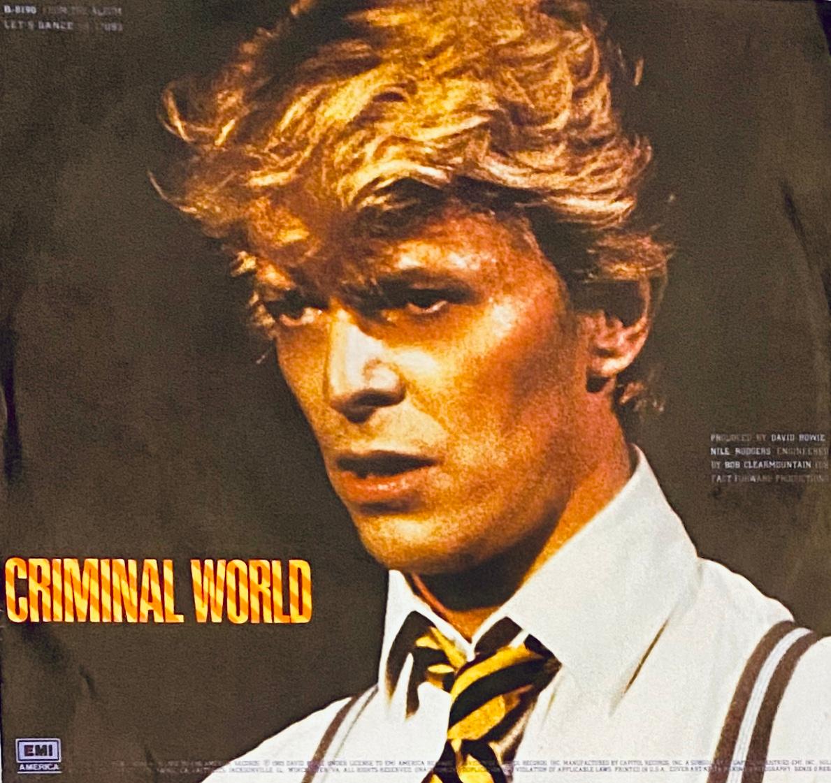 Original David Bowie Vinyl Record Art 1