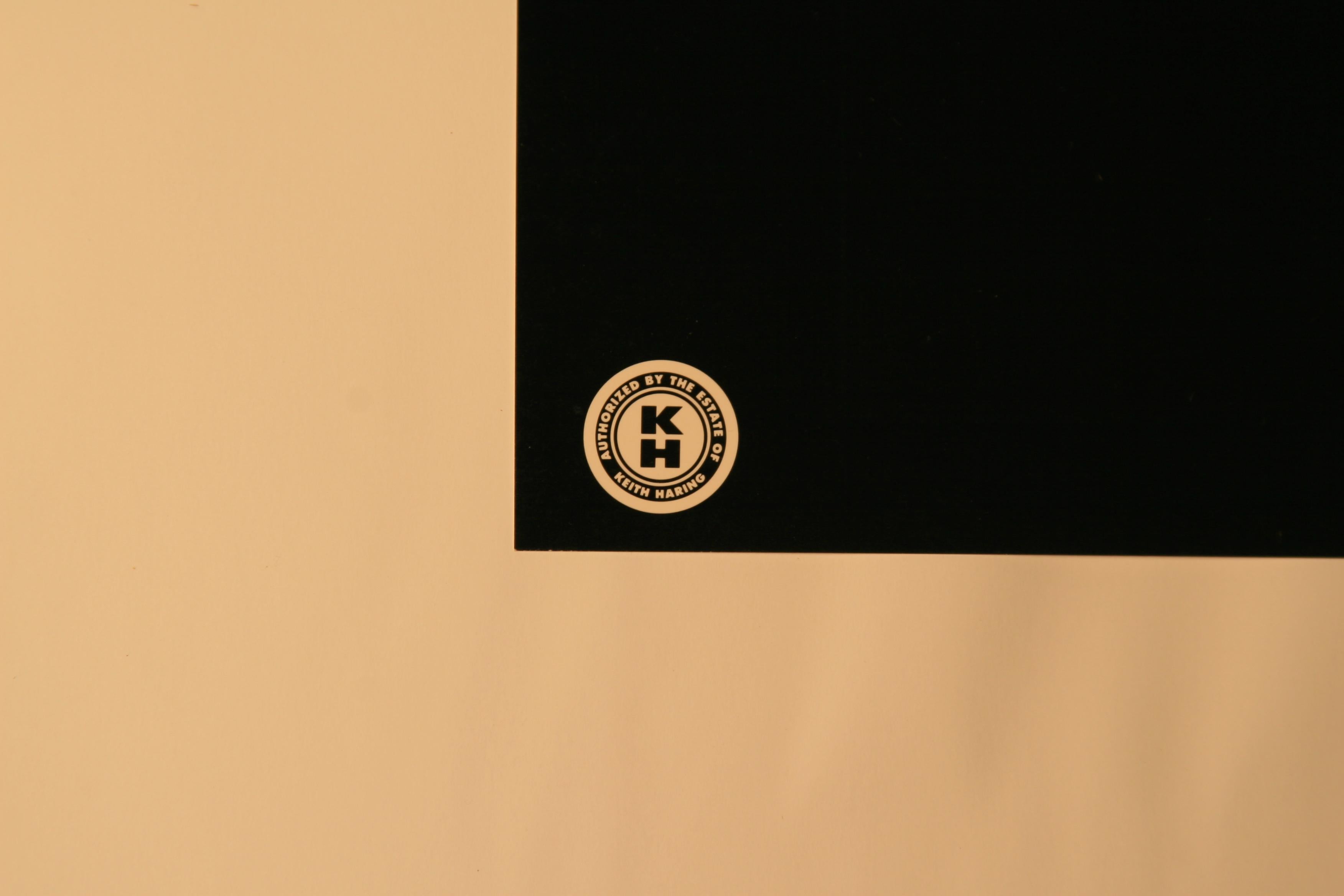 keith haring radiant baby from icons series
