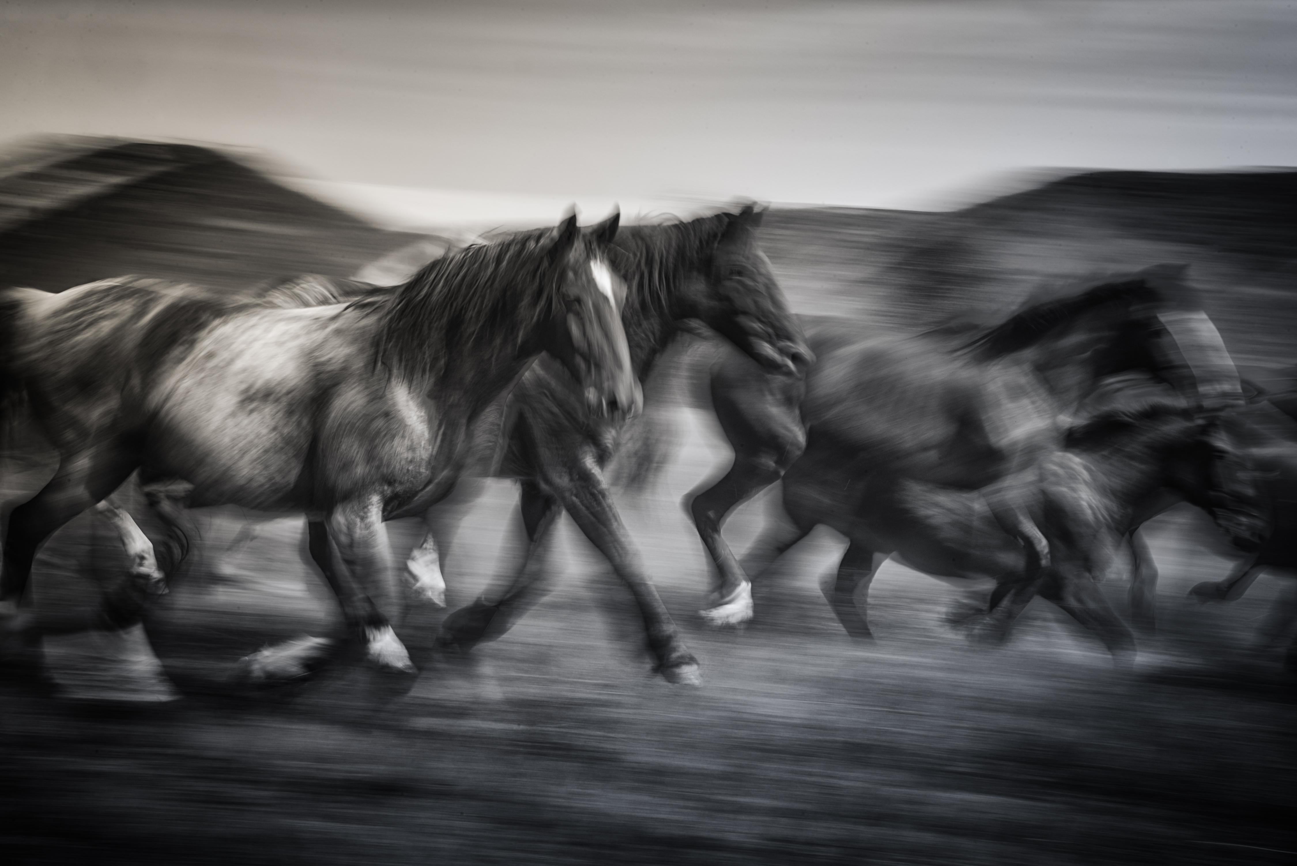Keith Ladzinski Black and White Photograph - Chasing The Wind
