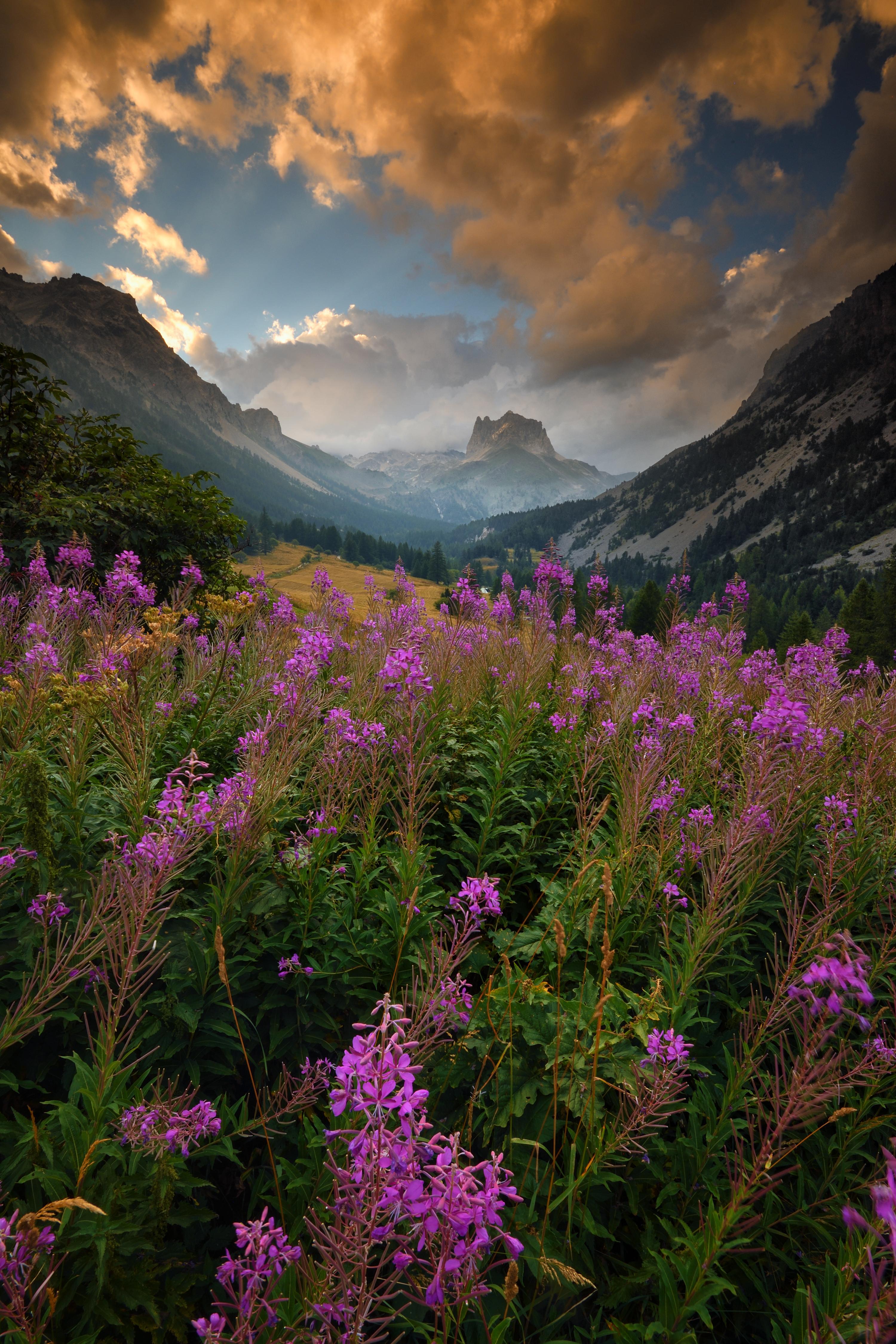 Keith Ladzinski Landscape Photograph – Berg Timor