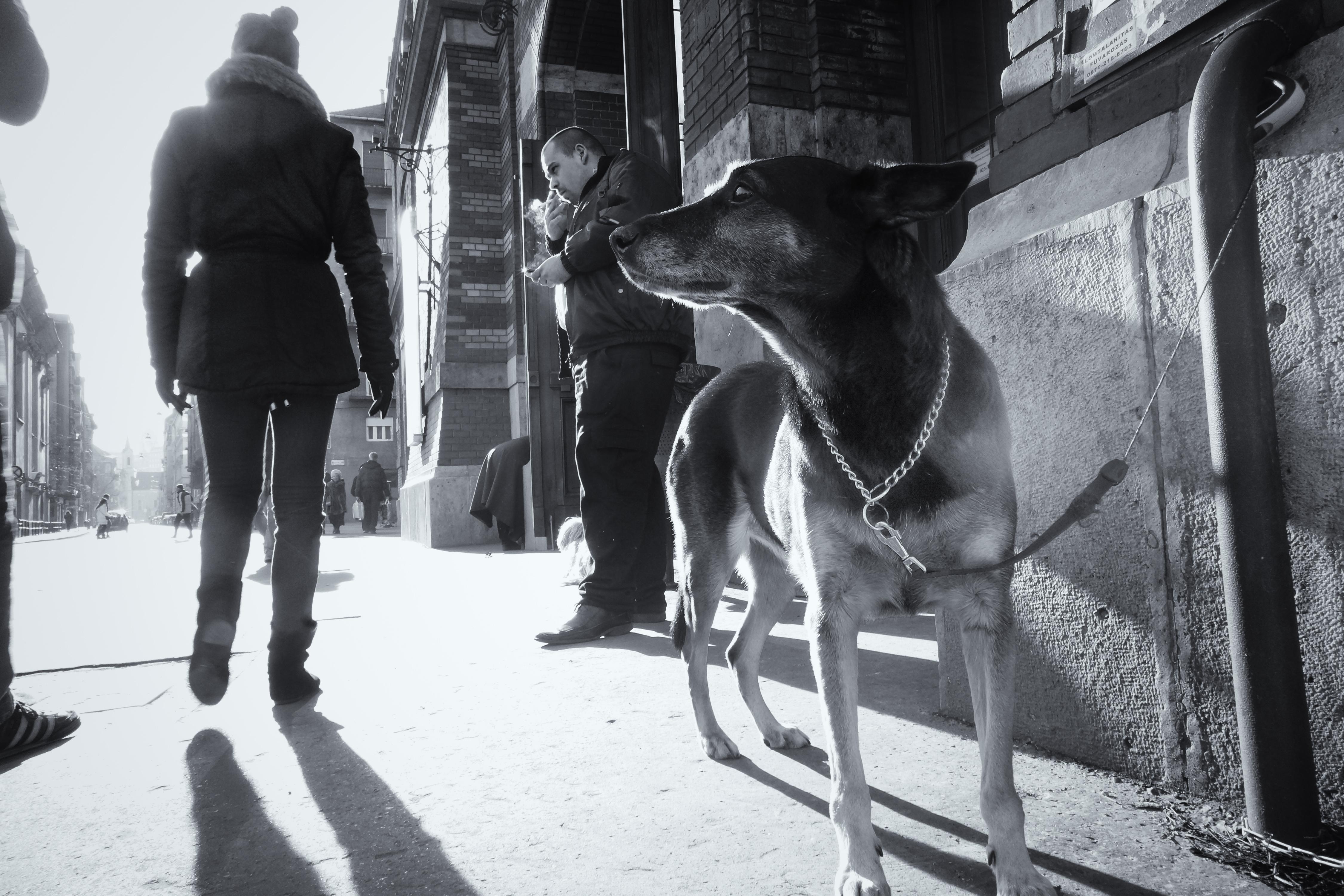 Keith Ladzinski Black and White Photograph - Smoke Break